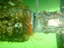 Niet goed, Uisge Beatha, Zeilen, Watersport