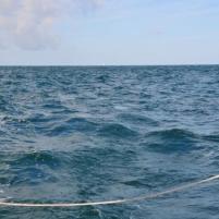 Alderney-Cherbourg - 5