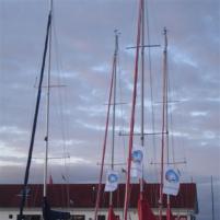 Bruinisse sept 08 013