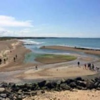 Havengids Blankenberge