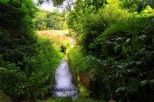 Beekje, Uisge Beatha, Zeilen, Watersport Beekje, Uisge Beatha, Zeilen, Watersport