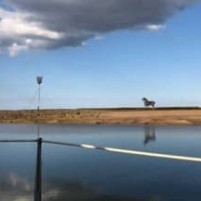 Dwalen door Wells-next-the-Sea