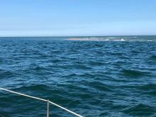 Niet gemarkeerde ondiepte, Uisge Beatha, Zeilen, Watersport Niet gemarkeerde ondiepte, Uisge Beatha, Zeilen, Watersport