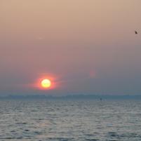 Lowestoft NVvT 2008-11