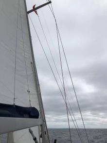 Wissel van de gastenlandvlag, Uisge Beatha, Zeilen, Watersport Wissel van de gastenlandvlag, Uisge Beatha, Zeilen, Watersport