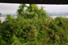 Kunstwerk, Uisge Beatha, Zeilen, Watersport