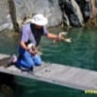 Stroomversnelling naar Beaucette