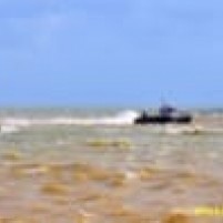 Meer verstormd dan verwaaid liggen