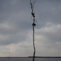 Weekend zwerven door Zeeland - 4