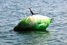 Stuurboord houden, Uisge Beatha, Zeilen, Watersport