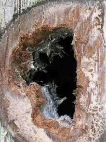 Opvullen..., Uisge Beatha, Zeilen, Watersport Opvullen..., Uisge Beatha, Zeilen, Watersport