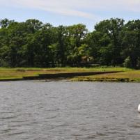 Cowes - Beaulieu River - 26