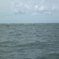 Herkingen-Blankenberge - 4