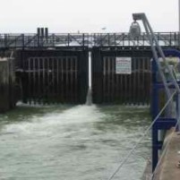 Het Westelijk halfrond op