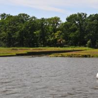 Cowes - Beaulieu River - 26