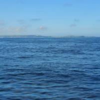 Dielette-Alderney - 2