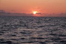 Carlingford, Uisge Beatha, Zeilen, Watersport Carlingford, Uisge Beatha, Zeilen, Watersport