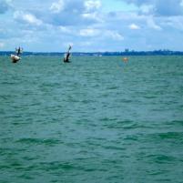 Queensborough-Burnham - 3