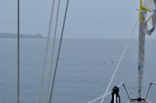 Zeehond, Uisge Beatha, Zeilen, Watersport Zeehond, Uisge Beatha, Zeilen, Watersport