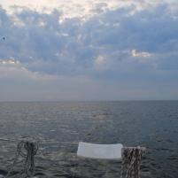 Dieppe-Boulogne - 07