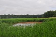 Uitzicht vanuit vogelhut, Uisge Beatha, Zeilen, Watersport Uitzicht vanuit vogelhut, Uisge Beatha, Zeilen, Watersport