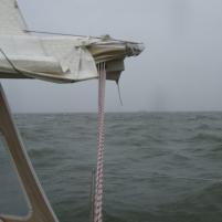 40 - Langs Westerschelde