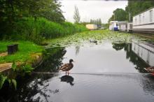 Fraai kanaal, Uisge Beatha, Zeilen, Watersport Fraai kanaal, Uisge Beatha, Zeilen, Watersport