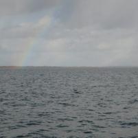 Hagel en leren schaken-7