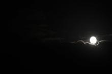 Samen maan kijken, Uisge Beatha, Zeilen, Watersport Samen maan kijken, Uisge Beatha, Zeilen, Watersport