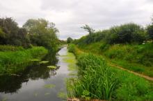 Chichester Ship Canal, Uisge Beatha, Zeilen, Watersport Chichester Ship Canal, Uisge Beatha, Zeilen, Watersport