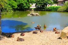 Duck Pool, Uisge Beatha, Zeilen, Watersport