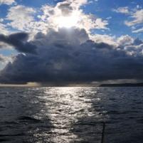 Granville-Jersey - 5