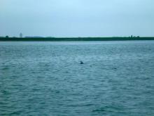 Vin!, Uisge Beatha, Zeilen, Watersport Vin!, Uisge Beatha, Zeilen, Watersport