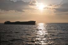 Westerschelde, Uisge Beatha, Zeilen, Watersport