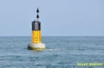 Ik wilde wind? Ik kreeg wind Ik wilde wind? Ik kreeg wind | Rondje Kanaal, Cherbourg, St Vaast-La-Hougue, Getij, Gideon, Solozeilen