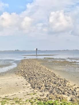 Huiswaarts na drie weken zeilvakantie | Zomer 2018, Rondje kanaal, St. annaland, Oosterschelde, Grevelingensluis, Grevelingen,