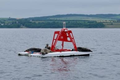 Zonnige zeiltocht van Edinburgh naar Arbroath | Rondje Engeland, Solozeilen, Noordzee, Arbroath, Schotland, Edinburgh,