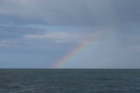 Zeiltocht van Dublin naar Arklow | Rondje Engeland, Solozeilen, Ierse Zee, Ierland, Dublin, Poolbeg marina, Arklow, 