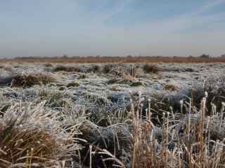 Schaatsen met een pijnlijke afloop | Schaatsen, Nieuwkoop,