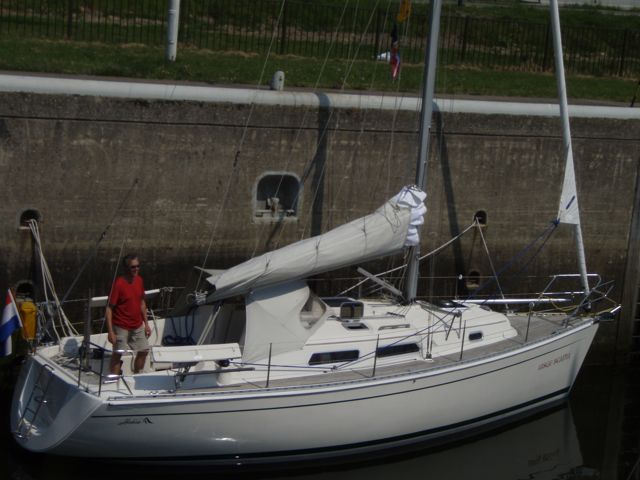 Dolfijnen rond de boot | Ramsgate, Roompot